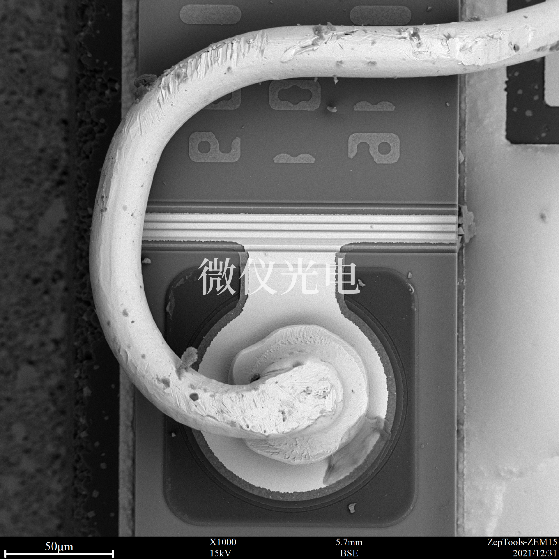 掃描電鏡下的電子.png 掃描電鏡下的電子.png