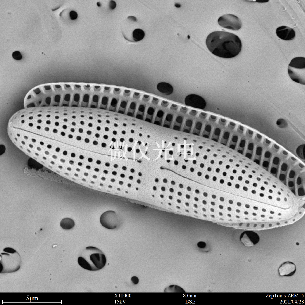 sem臺式掃描電鏡在司法鑒定行業(yè)的應用是這樣的，你之前了解嗎？